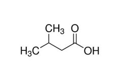 异戊酸